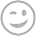 Icon Wink